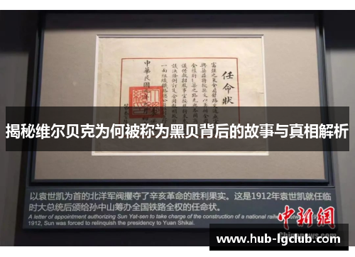 揭秘维尔贝克为何被称为黑贝背后的故事与真相解析 揭秘维尔贝克为何被称为黑贝背后的故事与真相解析