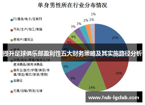 提升足球俱乐部盈利性五大财务策略及其实施路径分析