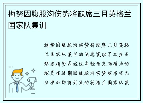 梅努因腹股沟伤势将缺席三月英格兰国家队集训