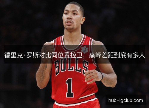 德里克·罗斯对比同位置控卫，巅峰差距到底有多大